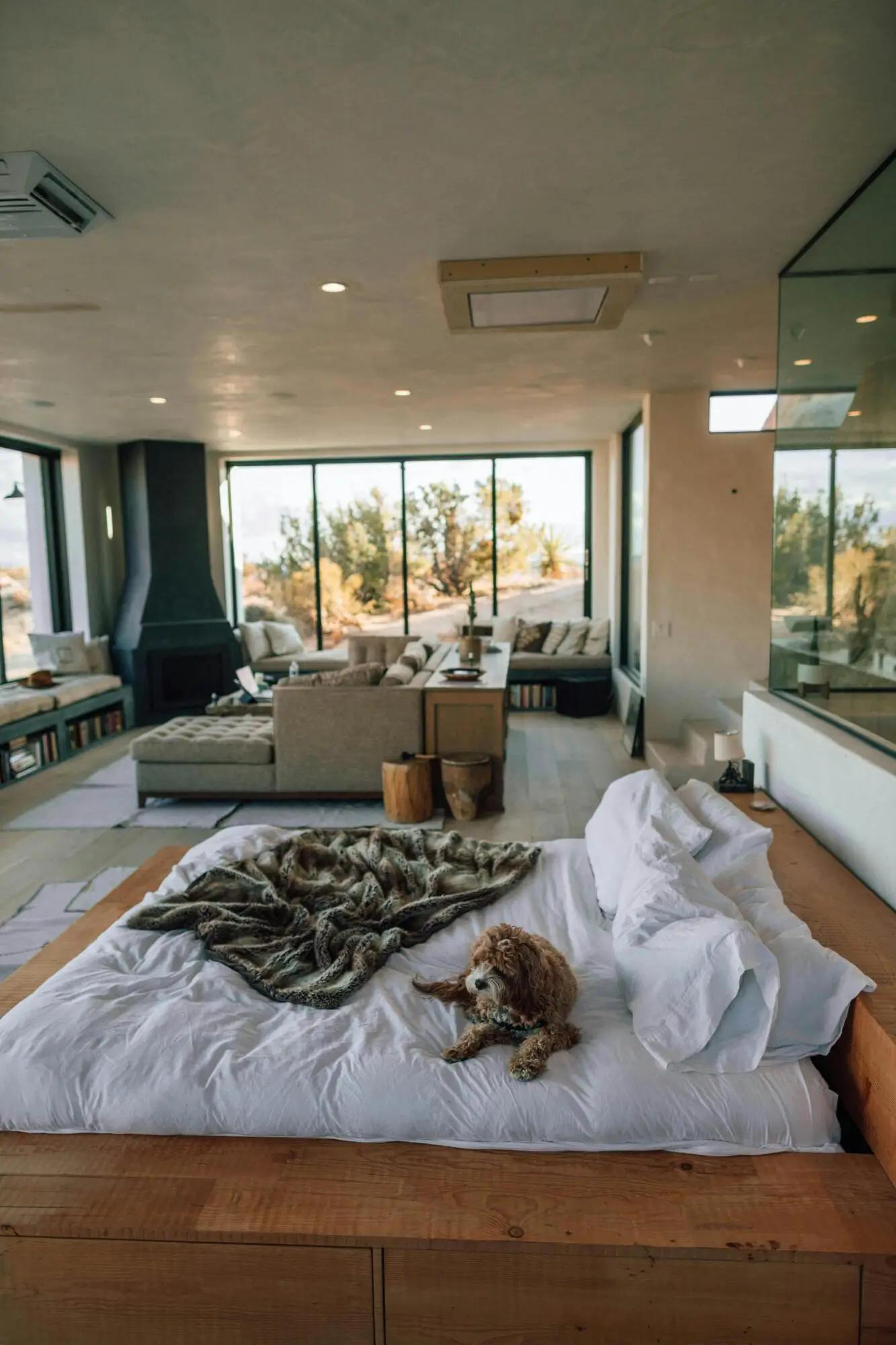 Mastering the Art of Vacation Rental Hosting in Phoenix, AZ